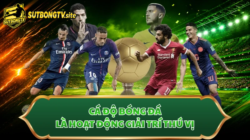 Cá độ bóng đá là hoạt động giải trí thú vị