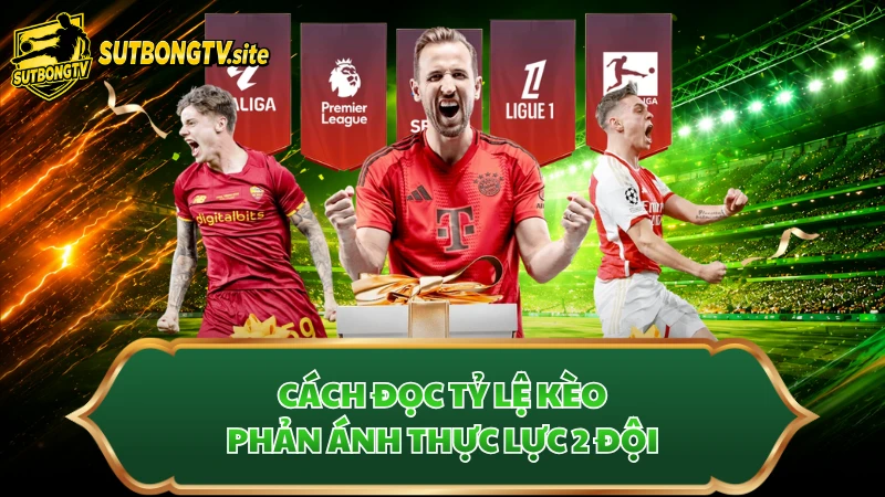 Cách đọc tỷ lệ kèo phản ánh thực lực 2 đội