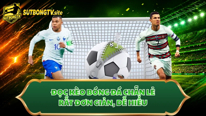 Đọc kèo bóng đá chẵn lẻ rất đơn giản, dễ hiểu
