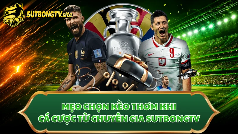 Mẹo Chọn Kèo Thơm Khi Cá Cược