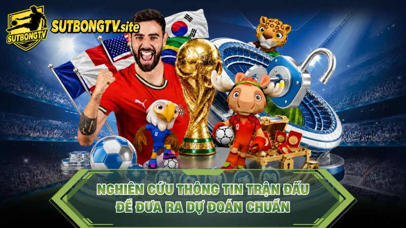 Nghiên cứu thông tin trận đấu để đưa ra dự đoán chuẩn.