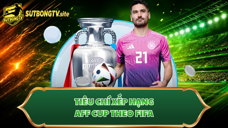 Tiêu chí xếp hạng AFF Cup theo FIFA