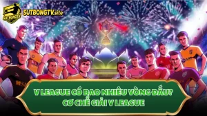 V League Có Bao Nhiêu Vòng Đấu