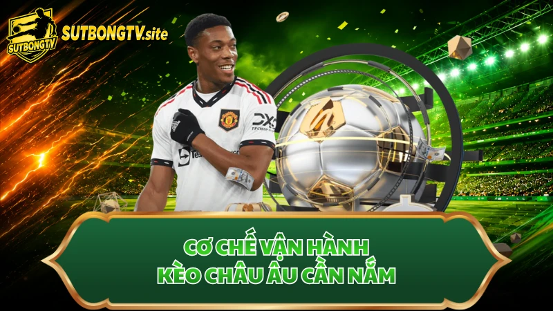 Cơ chế vận hành kèo châu Âu cần nắm